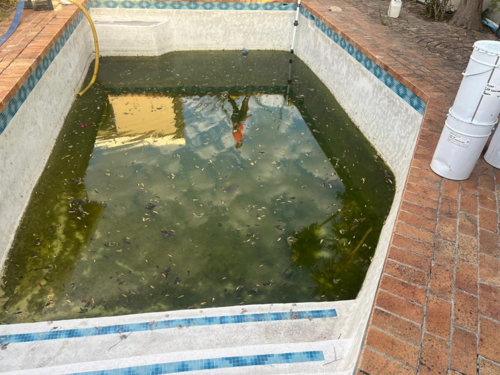 Drained pool showing the damaged surface before repairs