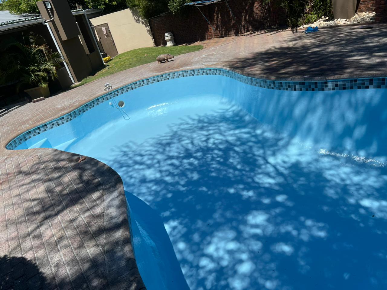 Aquatic Pools swimming pool maintenance and service work